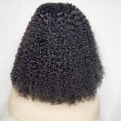 Đồ bán buôn 13X6 13X4 HD Brazil Curl Transparent Lace Human Front Hair Wig