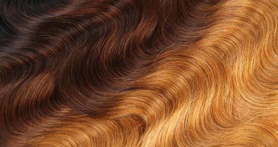 1B 4 27 Curly Ombre Virgin Hair Body Wave Extensions With Closure (Màn mở rộng sóng cơ thể với cách đóng)