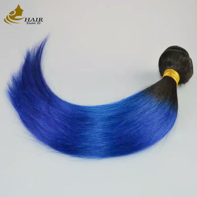Cô gái nguyên chất Brazil Ombre Human Hair Extensions Bundles Blue 1B