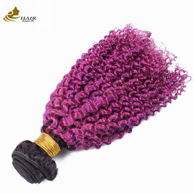 Afro Kinky Curly Dark Root Purple Ombre Virgin Human Hair Bundles Để bán
